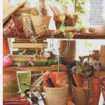 TownandCountry-Aug-Product-96tdpi